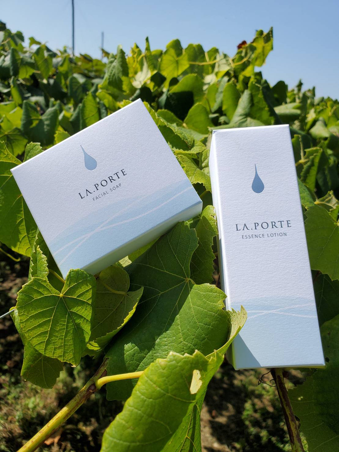 外箱エッセンスローション＆石けん