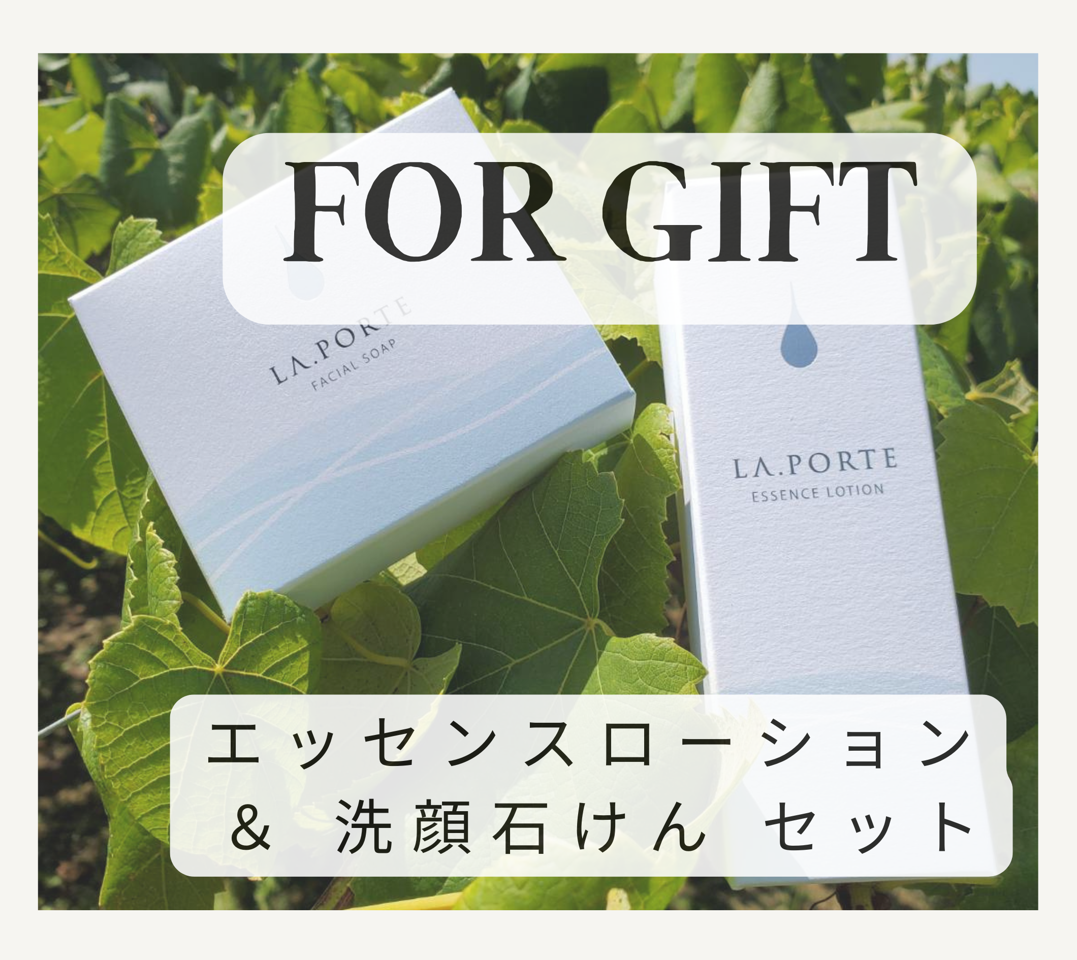 ギフトセット　ローション＆洗顔せっけん